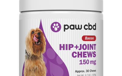 CBD Soft Chew, Hip and Joint, Canine, 30pc, Bacon