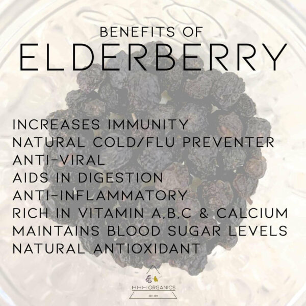 benefits of elderberry