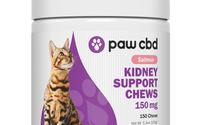 CBD Soft Chew, Kidney Support, Feline, 150ct, Salmon