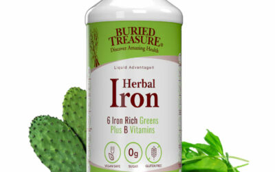 Herbal Iron Supplement, 16 oz