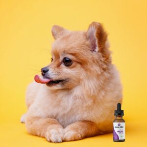 CBD for your pet