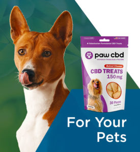 CBD For Your Pets