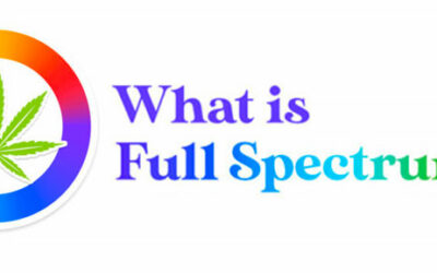 What is Full Spectrum?
