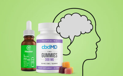 Does CBD Support Mental Health?