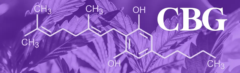 CBG molecular structure on purple background