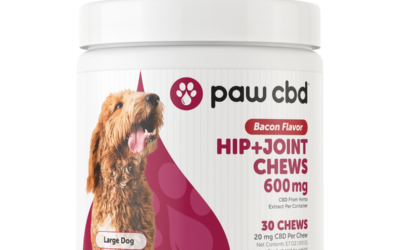 CBD Soft Chew, Hip and Joint, Canine, 30pc, 600mg, Bacon
